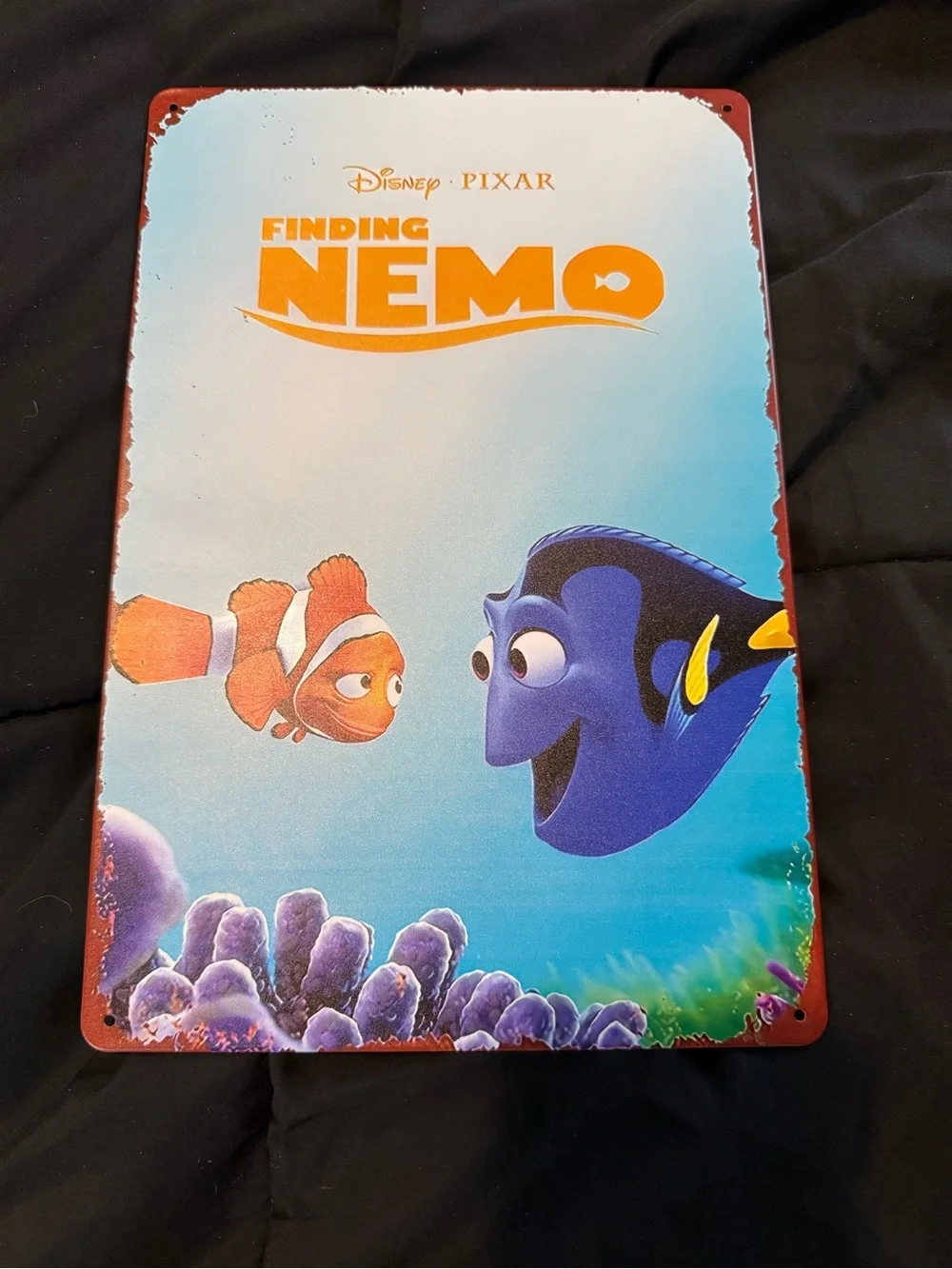 🌟Pick Any 2/$26 Sale Finding Nemo
